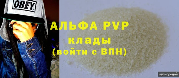 СК Пересвет