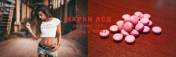 СК Пересвет