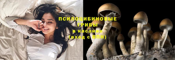 винт Переславль-Залесский