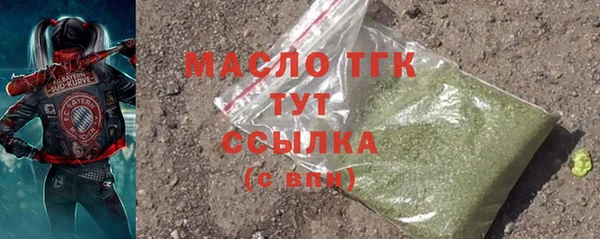 СК Пересвет