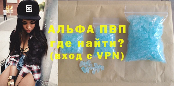 СК Пересвет