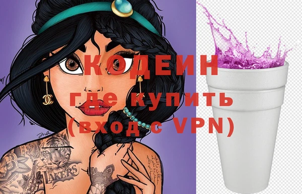 СК Пересвет