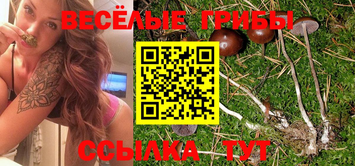 Белово  Псилоцибиновые грибы Psilocybine cubensis  Вход с VPN 