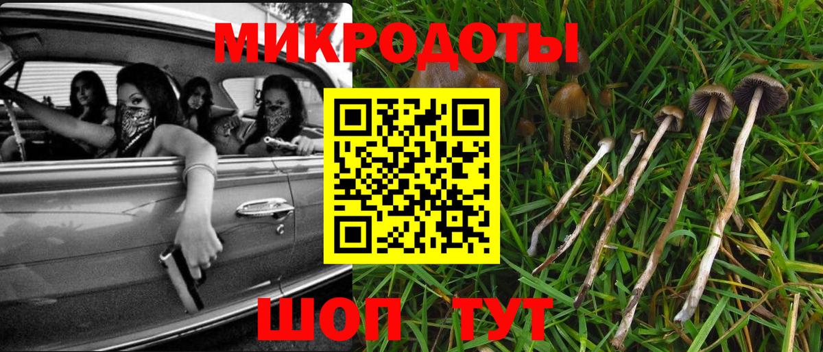 Галлюциногенные грибы Psilocybe  купить наркотики цена  Галлюциногенные грибы мухоморы  Белово 